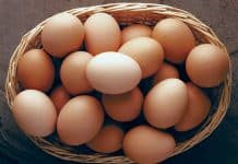 are eggs good for weight loss
