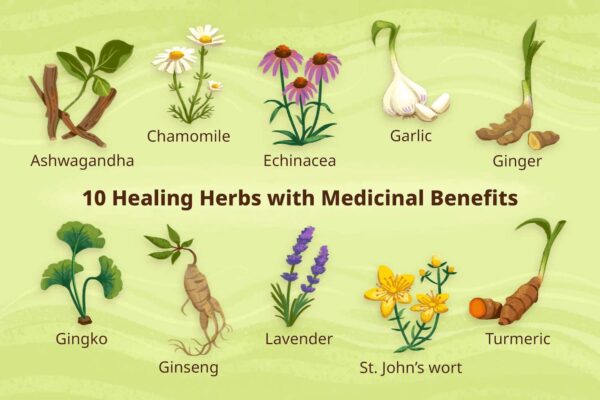 Herbal Supplements: Natural Remedies For Various Health Conditions