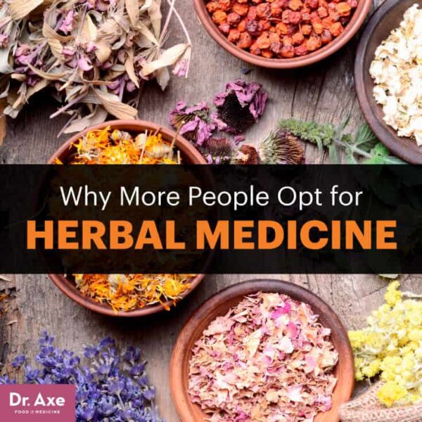 Herbal Supplements: Natural Remedies For Various Health Conditions